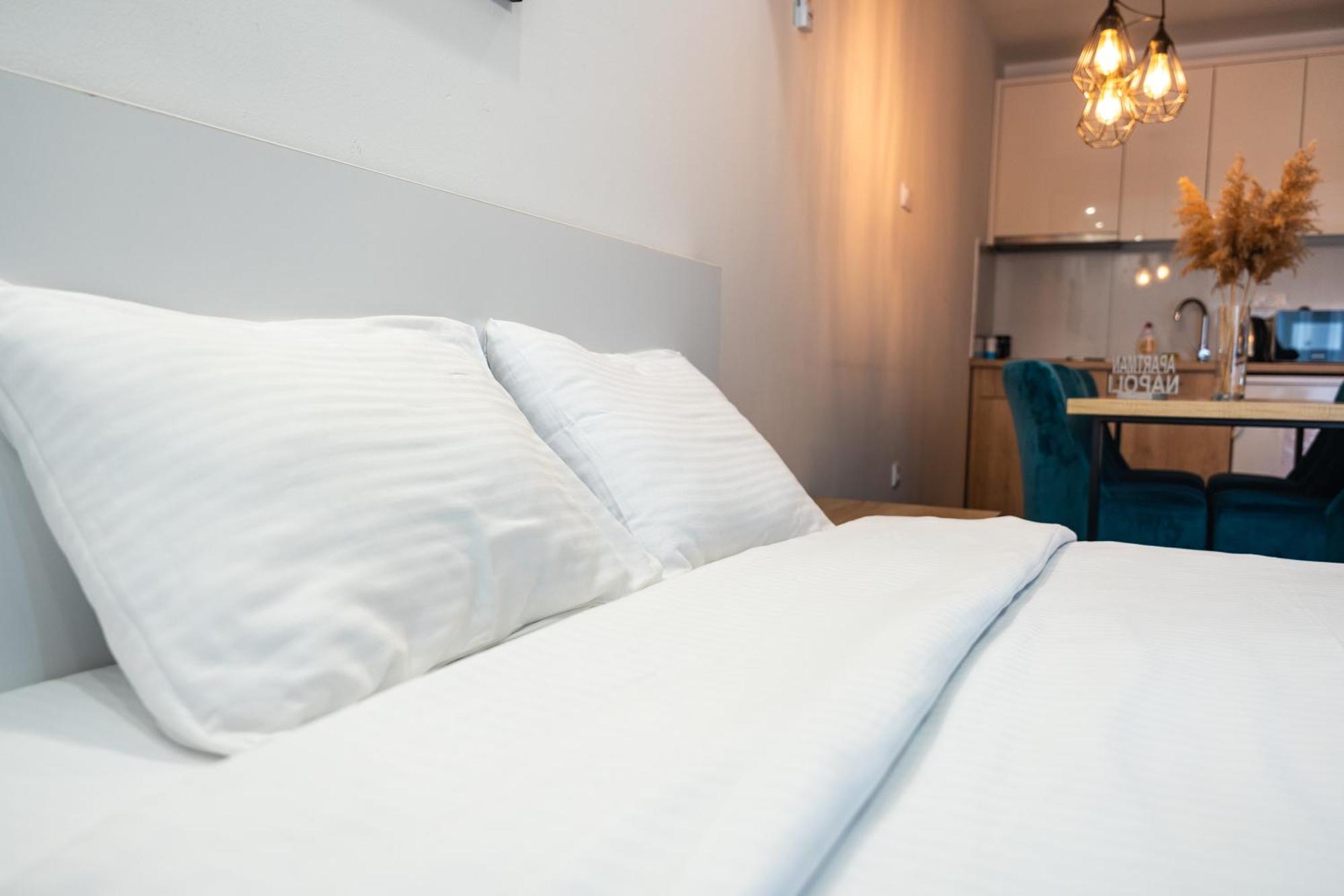 Daisy resort Novi Sad Extérieur photo